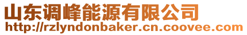 山東調峰能源有限公司