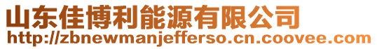 山東佳博利能源有限公司