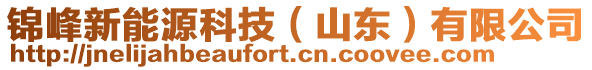 錦峰新能源科技（山東）有限公司