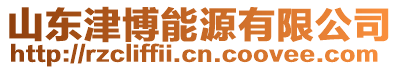 山東津博能源有限公司