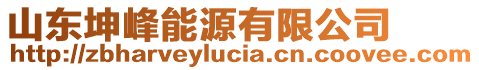 山東坤峰能源有限公司
