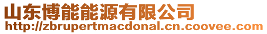 山東博能能源有限公司