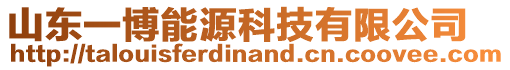 山東一博能源科技有限公司