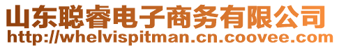 山東聰睿電子商務有限公司