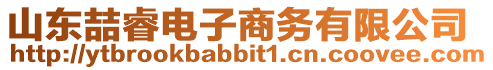 山東喆睿電子商務有限公司