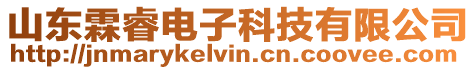 山東霖睿電子科技有限公司