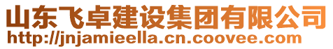 山東飛卓建設(shè)集團(tuán)有限公司