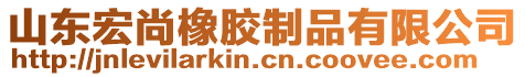 山东宏尚橡胶制品有限公司