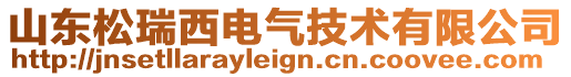 山東松瑞西電氣技術(shù)有限公司