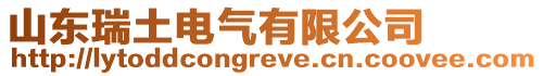 山東瑞土電氣有限公司