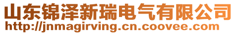 山東錦澤新瑞電氣有限公司