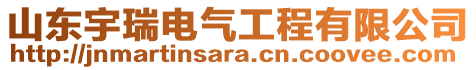 山東宇瑞電氣工程有限公司