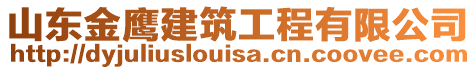 山東金鷹建筑工程有限公司