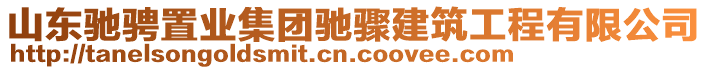 山東馳騁置業(yè)集團馳驟建筑工程有限公司