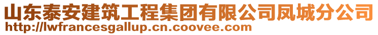 山东泰安建筑工程集团有限公司凤城分公司