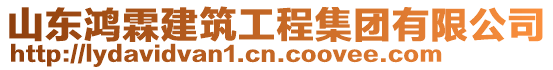 山東鴻霖建筑工程集團有限公司