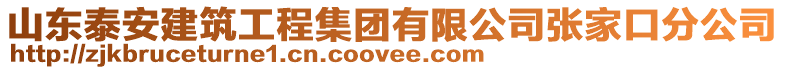 山东泰安建筑工程集团有限公司张家口分公司