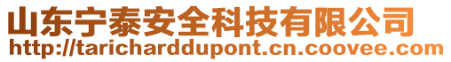 山东宁泰安全科技有限公司