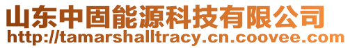 山東中固能源科技有限公司