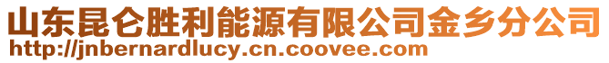 山東昆侖勝利能源有限公司金鄉(xiāng)分公司