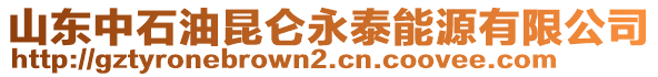 山東中石油昆侖永泰能源有限公司