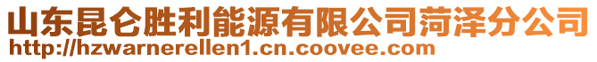 山東昆侖勝利能源有限公司菏澤分公司