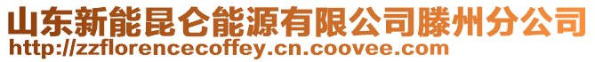 山東新能昆侖能源有限公司滕州分公司