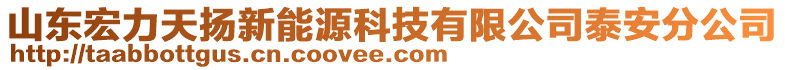 山東宏力天揚(yáng)新能源科技有限公司泰安分公司