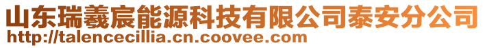 山東瑞羲宸能源科技有限公司泰安分公司