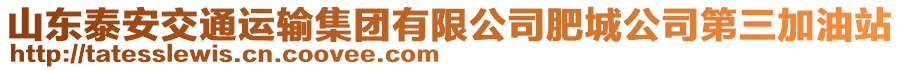 山東泰安交通運(yùn)輸集團(tuán)有限公司肥城公司第三加油站