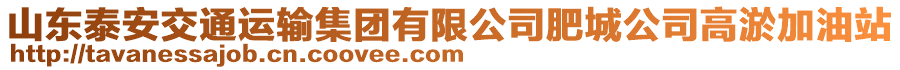 山東泰安交通運輸集團有限公司肥城公司高淤加油站