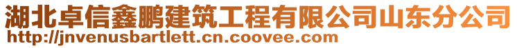 湖北卓信鑫鵬建筑工程有限公司山東分公司