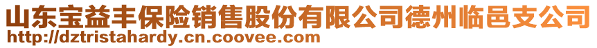 山東寶益豐保險銷售股份有限公司德州臨邑支公司