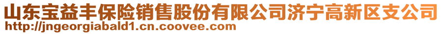 山東寶益豐保險銷售股份有限公司濟(jì)寧高新區(qū)支公司