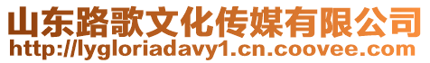 山東路歌文化傳媒有限公司