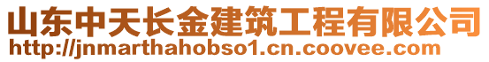 山東中天長金建筑工程有限公司