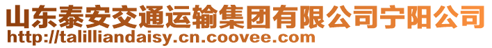 山東泰安交通運輸集團有限公司寧陽公司