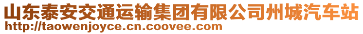 山東泰安交通運輸集團有限公司州城汽車站