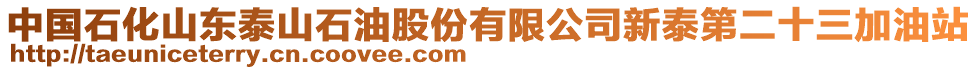 中國石化山東泰山石油股份有限公司新泰第二十三加油站