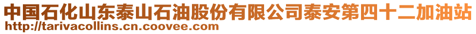 中國石化山東泰山石油股份有限公司泰安第四十二加油站