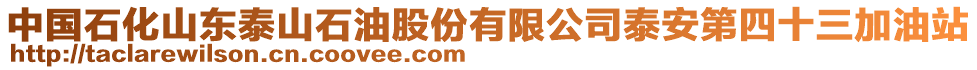 中國石化山東泰山石油股份有限公司泰安第四十三加油站