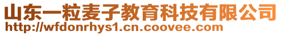 山東一粒麥子教育科技有限公司