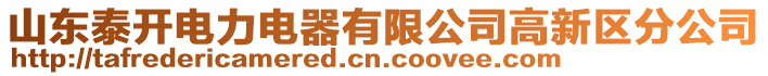 山東泰開電力電器有限公司高新區(qū)分公司