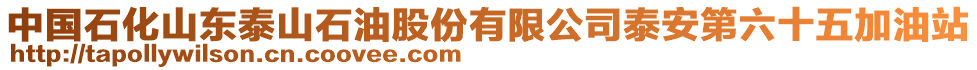 中國(guó)石化山東泰山石油股份有限公司泰安第六十五加油站
