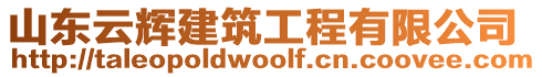 山東云輝建筑工程有限公司