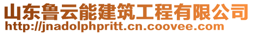 山東魯云能建筑工程有限公司
