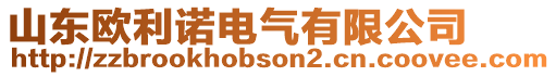 山東歐利諾電氣有限公司