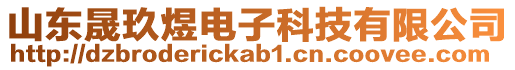 山東晟玖煜電子科技有限公司