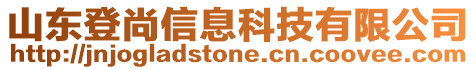 山東登尚信息科技有限公司