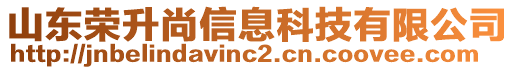 山東榮升尚信息科技有限公司